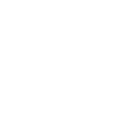 Texas Instruments Logo